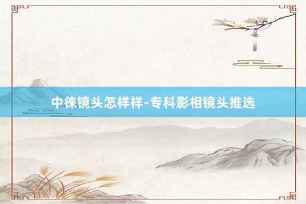 中徕镜头怎样样-专科影相镜头推选